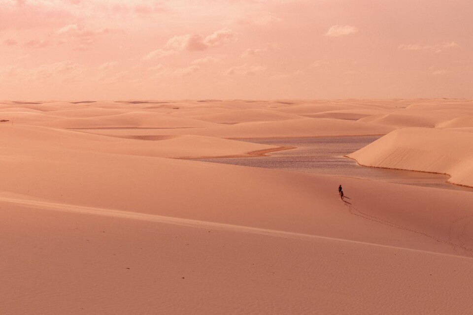 pexels jefferson lima 19770199